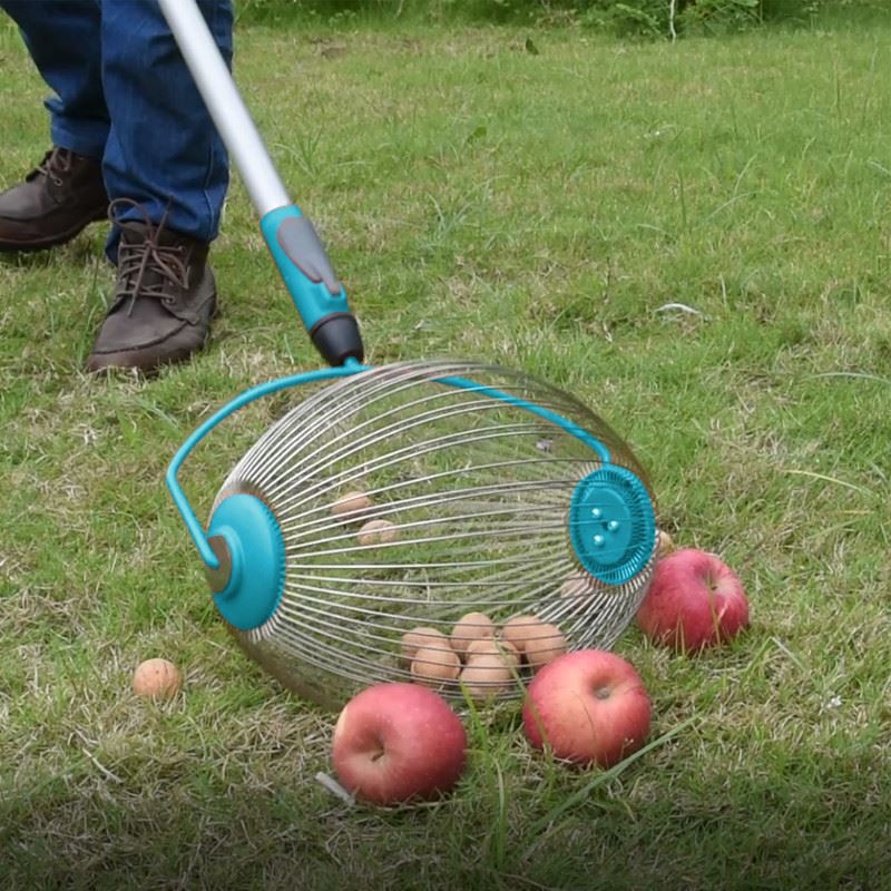 nut gather fruit picker