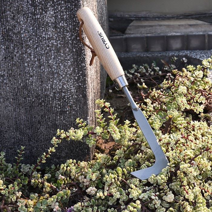 Carbon Steel Crevice Weeding Tool