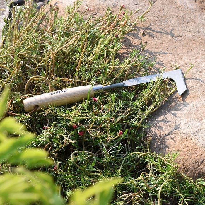 Carbon Steel Crevice Weeding Tool