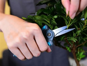 Proč jsme uvedli na trh nové a větší nůžky