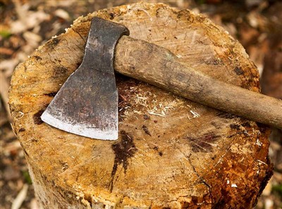 Nástroje na řezání stromů a bezpečnostní vybavení