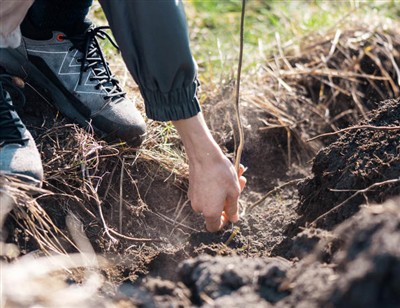 Hravé kroky k prokopání kořenů