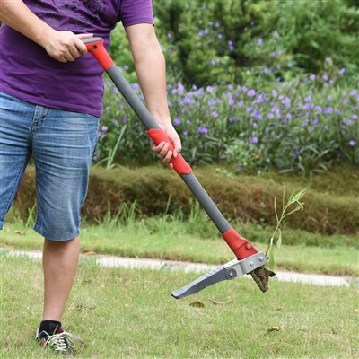 Postavte se plevele za plevel bez námahy