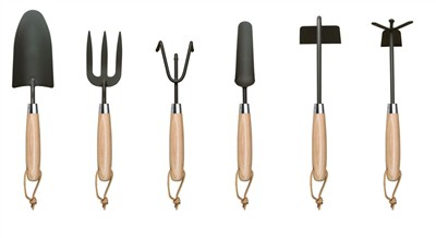 Pěstování rajčat doma