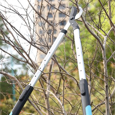 Zahradnictví pro zaneprázdněné jednotlivce: Tipy na péči o zahradu s omezeným...