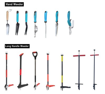 Pěstování zeleně: Přijetí udržitelnosti ve vaší zahradě