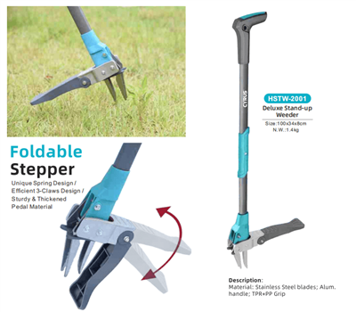 Oslava svátku poloviny podzimu po celém světě: Harmonie tradice a zahradního ...