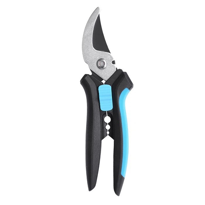 Profesionální růžové jamky